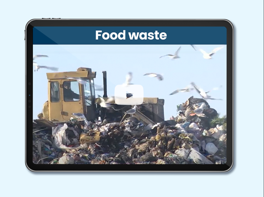Feeding Canada: Food Waste