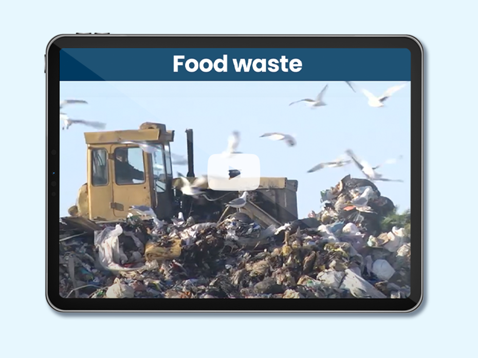 Feeding Canada: Food Waste