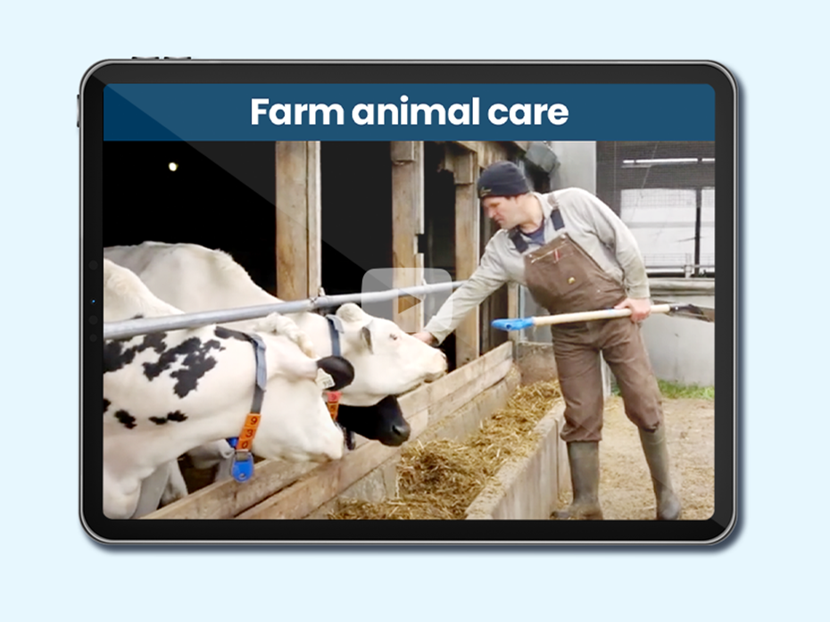 Feeding Canada: Farm Animal Care